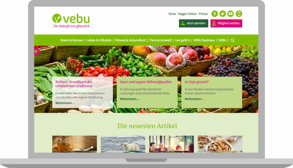 Webdesign des Vebu-Infoportal