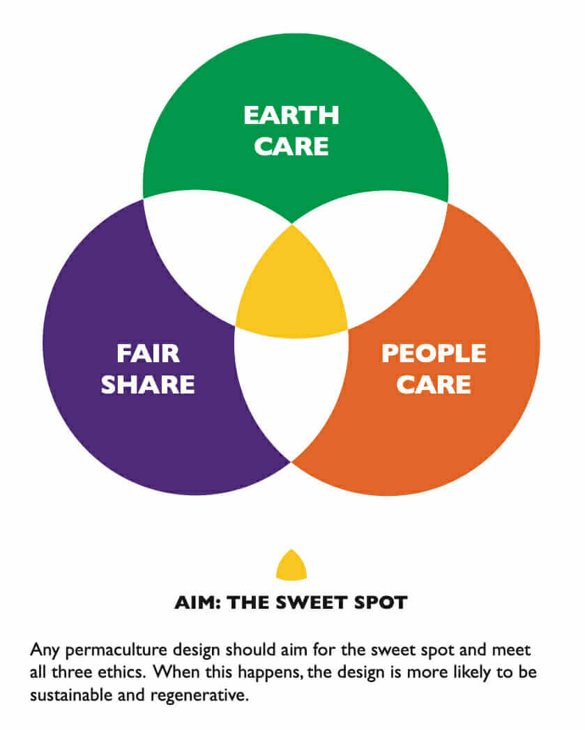 permaculture-process