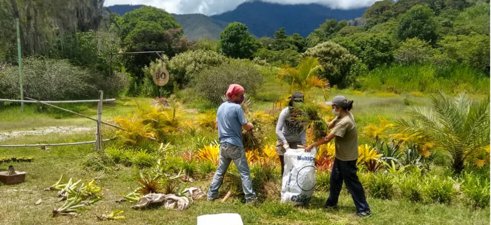 Maxime und Carimar stehen mit einer dritten Person auf einer grünen Fläche und sammeln Blätter. Im Hintergrund sind Berge zu sehen.
