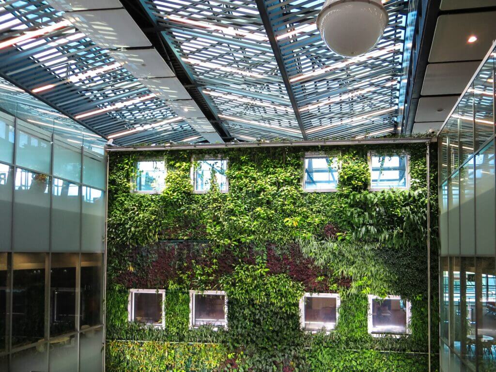 Eine große Halle die viele Fenster hat. Die hintere Wand ist mit grünen Pflanzen bedeckt. Das Design soll das Biophilic Design zeigen. 